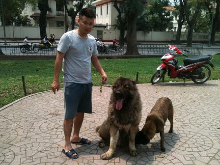 Người nghèo chạnh lòng nhìn"đại gia" chăm chó